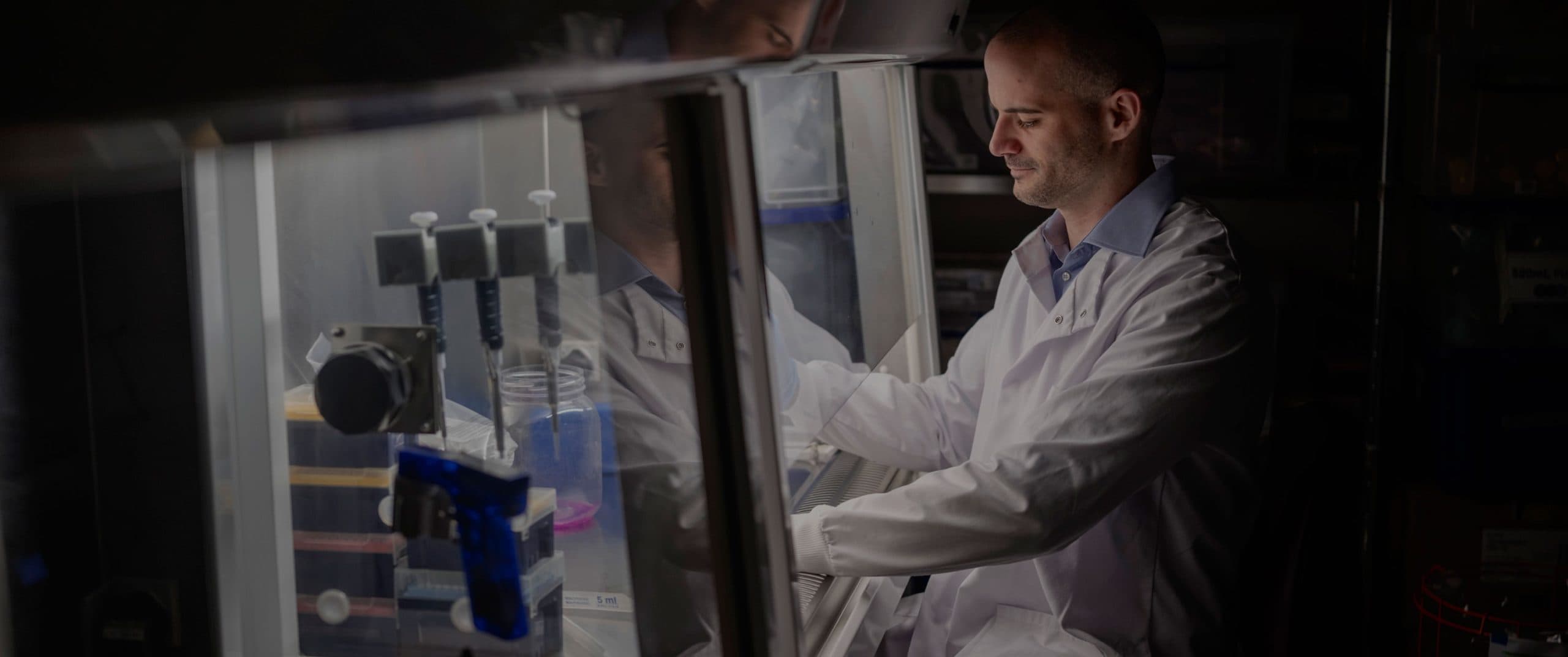 Giacomo Gorini, Uncover funding recipient