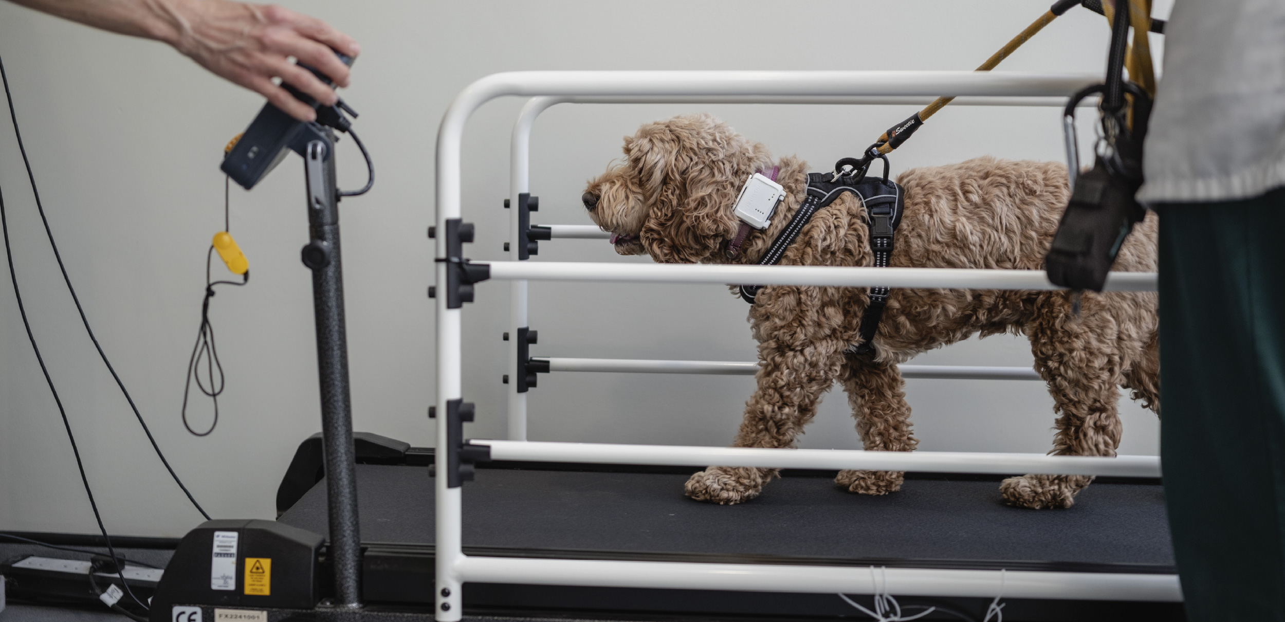 Marley Health